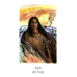 Tarot Vision Quest Tarot - Gayan S. Winter and Jo Dose (ES) (AGM)