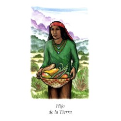 Tarot Vision Quest Tarot - Gayan S. Winter and Jo Dose (ES) (AGM)