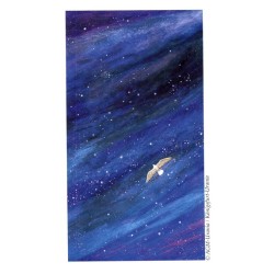 Tarot Vision Quest Tarot - Gayan S. Winter and Jo Dose (ES) (AGM)