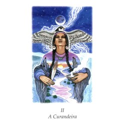 Tarot Vision Quest Tarot - Gayan S. Winter and Jo Dose (PT) (AGM)