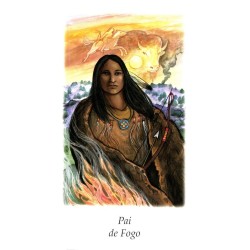 Tarot Vision Quest Tarot - Gayan S. Winter and Jo Dose (PT) (AGM)