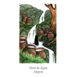 Tarot Vision Quest Tarot - Gayan S. Winter and Jo Dose (PT) (AGM)