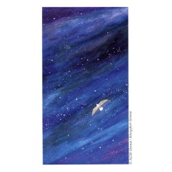 Tarot Vision Quest Tarot - Gayan S. Winter and Jo Dose (PT) (AGM)