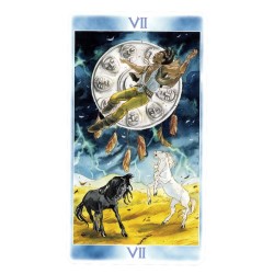 Tarot Shaman Tarot - M. F