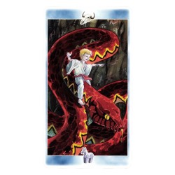 Tarot Shaman Tarot - M. F