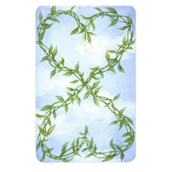 TAROT * Gentle Wisdom (Of the faerie realms) (Set - Libro + 60 Cartas) (2005) (Ingles) (Agm)