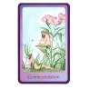TAROT * Gentle Wisdom (Of the faerie realms) (Set - Libro + 60 Cartas) (2005) (Ingles) (Agm)