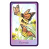 TAROT * Gentle Wisdom (Of the faerie realms) (Set - Libro + 60 Cartas) (2005) (Ingles) (Agm)