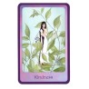 TAROT * Gentle Wisdom (Of the faerie realms) (Set - Libro + 60 Cartas) (2005) (Ingles) (Agm)