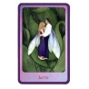 TAROT * Gentle Wisdom (Of the faerie realms) (Set - Libro + 60 Cartas) (2005) (Ingles) (Agm)