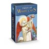 Tarot Gatos Blancos (Mi20