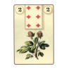 TAROT Lenormand (Oracle)
