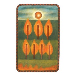 Tarot The Jungian Tarot D
