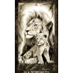 Tarot New Era Elements (