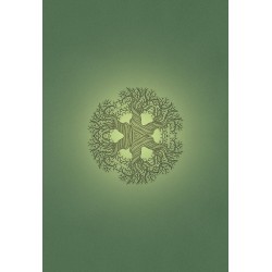 Oraculo Sacred Earth (45 Cartas) (EN) (USG) nuevo 2018 Toni Carmine Salerno