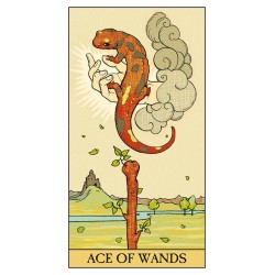 Tarot After (6 Idiomas In