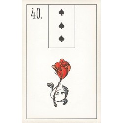 Tarot Maybe Lenormand (52 cartas) (EN) (USG) - Novedad Septiembre 2016 -