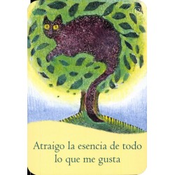 Tarot Ley de la Atraccion