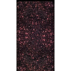 Tarot Sola Busca Tarot (M