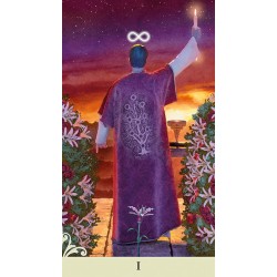 Tarot Viceversa (6 Idiom