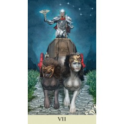 Tarot Viceversa (6 Idiom