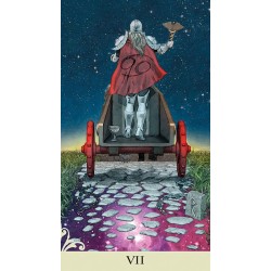 Tarot Viceversa (6 Idiom