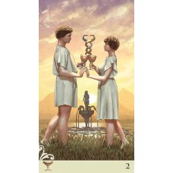 Tarot Viceversa (6 Idiom