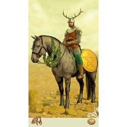 Tarot Viceversa (6 Idiom