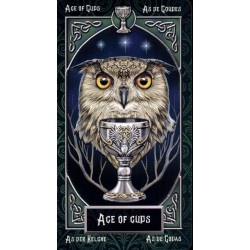 Tarot Familiars - Lisa Pa