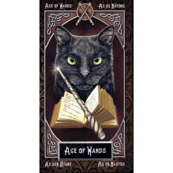 Tarot Familiars - Lisa Pa