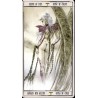 Tarot Malefic Time (FOU)