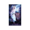 Tarot de la Nuit (Sca) La