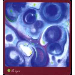 Oraculo Cartas de la Mujer Salvaje (libro + 44 Cartas) (Ob)(set)