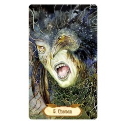 Tarot Winged Enchantment Oracle (39 Cartas) (En) (Usg)