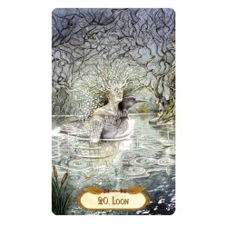 Tarot Winged Enchantment Oracle (39 Cartas) (En) (Usg)