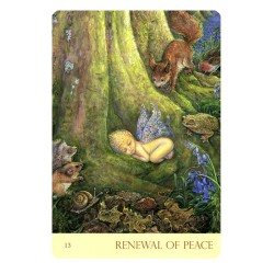 Tarot Nature s Whispers Oracle Cards (50 Cartas) (En) (Bla) (Usg)