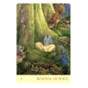 Tarot Nature s Whispers Oracle Cards (50 Cartas) (En) (Bla) (Usg)