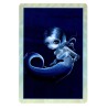 Tarot Myths & Mermaids (oracle) (Set) (44 cartas) (En) (Sca) (Bla)