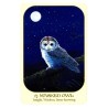 Tarot Animal Voices (Connecting with our Endangered Friends) (En) (Usg) (Bla)