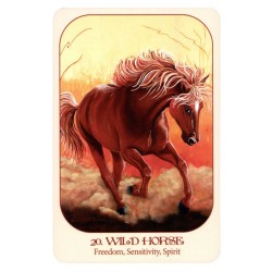 Tarot Animal Voices (Connecting with our Endangered Friends) (En) (Usg) (Bla)