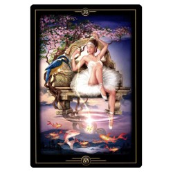 TAROT Visions (Oracle)