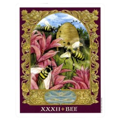 Tarot Sacred World The (Oracle) (EN) (USG)