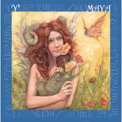 T. Dream Fairies - Brilla