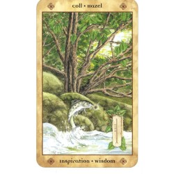 T. Voice of the Trees (Se