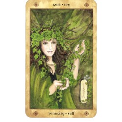 T. Voice of the Trees (Se