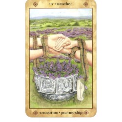 T. Voice of the Trees (Se