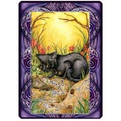 T. Wicca (B. Plateado)