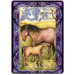 T. Wicca (B. Plateado)