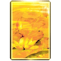 TAROT Wisdom of the Golde