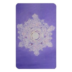 TAROT Ho'Oponopono (Las C